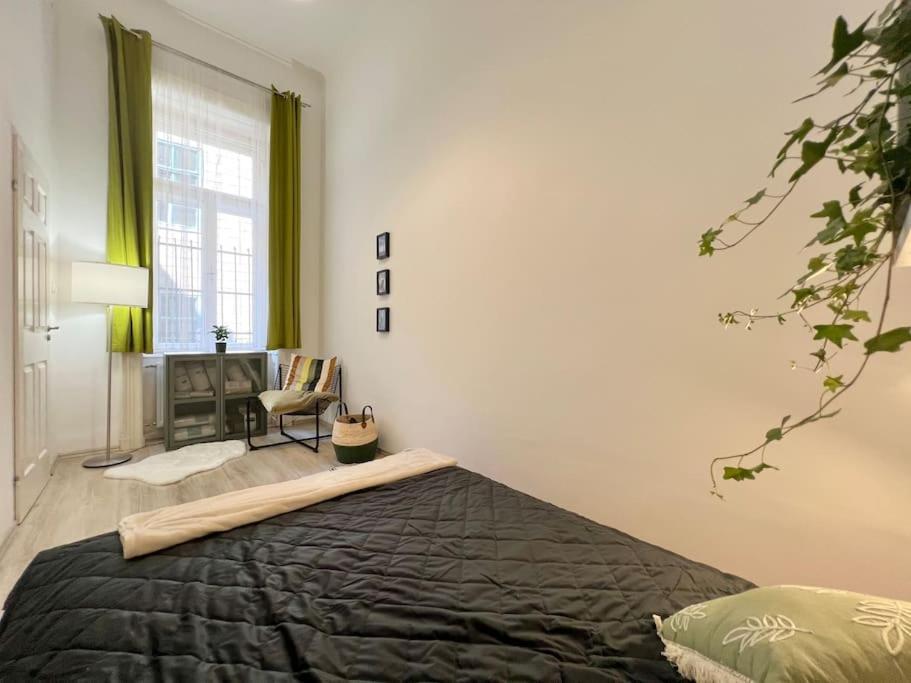 Best Location Up To 6 Guests 布达佩斯 外观 照片